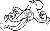 Interesting Information about Octopuses