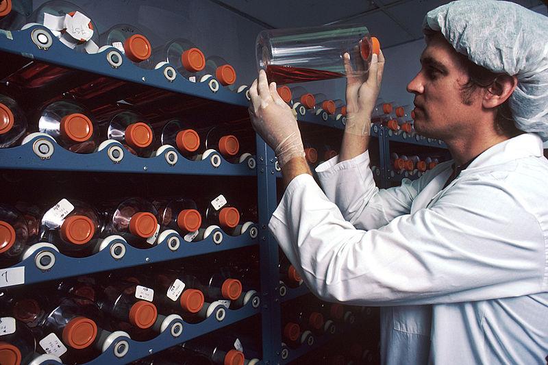 A lab worker carefully handles one of the many monoclonal antibody biology samples held on a number of racks.