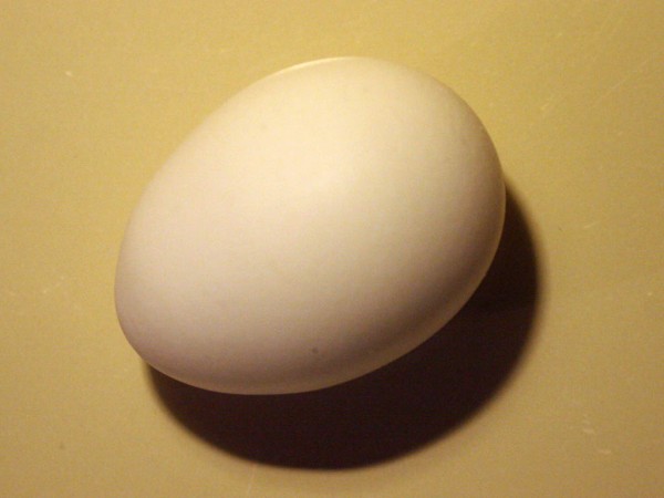 This photo shows a close up view of a chicken egg and its shadow from above