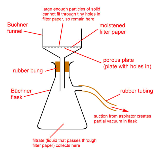 This diagram labels the typical parts of a filtration experiment. Included in the equipment labeling are: buchner funnel, moistened filter paper, porous plate (plate with holes in it), rubber tubing, buchner flask and rubber bung. Explanations and descriptions include: Large enough particles of solid cannot fit through tiny holes in the filter paper so remain at this point, filtrate (liquid that passes through filter paper) collects here and suction from aspirator creates partial vacuum in flask.