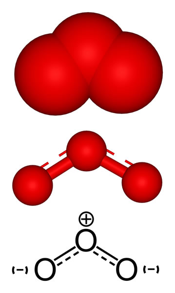 This diagram shows a 3D computer generated image of the triatomic molecule known as ozone. Ozone is an allotrope that contains three oxygen atoms. The ozone layer found in the upper atmosphere helps protect the Earth against potentially dangerous ultraviolet light.