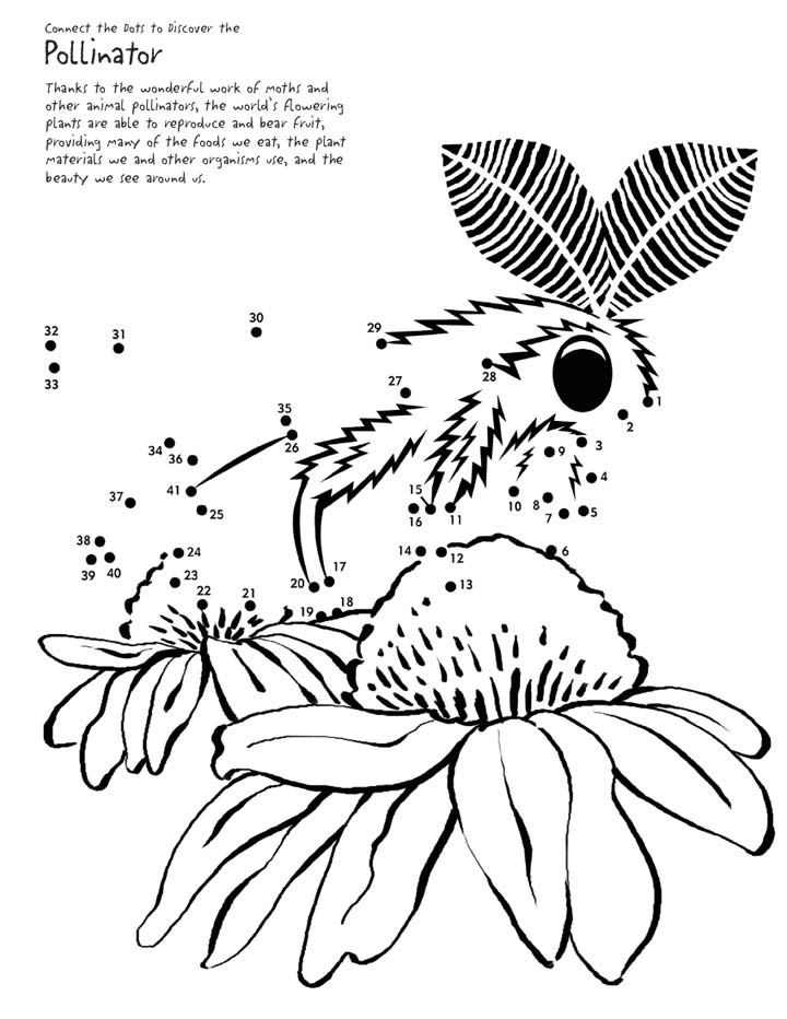 This moth needs your help in order to continue pollinating the flowers, connect the dots and complete the picture.