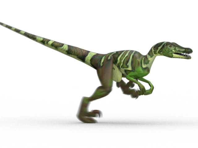 This CGI drawing shows the possible appearance of Velociraptor, a dinosaur from the late Cretaceous Period (around 73 million years ago). The Velociraptor is a well known dinosaur thanks to some nasty looking claws and appearances in movies such as Jurassic Park. It was smaller than it is often represented though, more the size of a Turkey than an adult human.