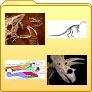 Pictures, photos and images of dinosaur fossils, bones, skeletons and eggs