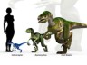 Raptor size picture