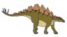 Stegosaurus Illustration