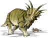 Styracosaurus picture