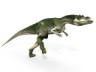 Yangchuanosaurus picture