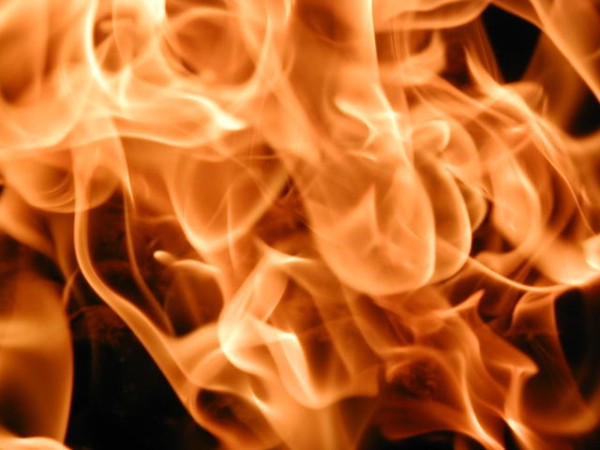 A close up image that captures the heat and intensity of a raging fire. The flames fan out in all directions, seemingly trying to escape the photo which holds them back. 