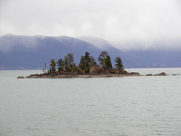 A small island sits in the middle of a large lake. The lake features around a dozen trees but not much else other than the rocks that surround it. 