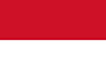 Fun facts about Indonesia