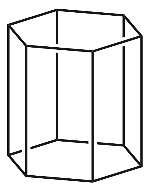 This picture shows the black outline of a hexagonal prism.