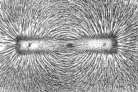 Iron filings are used in this picture to show the path of magnetic field lines created by a magnet.
