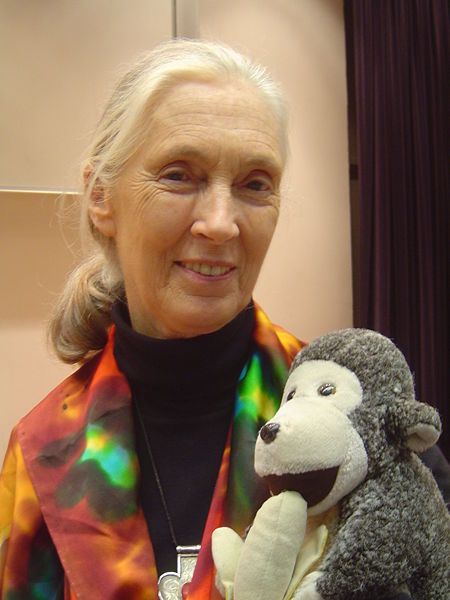 This photo shows Jane Goodall, a scientist famous for her studies of chimpanzees in Tanzania. She is holding a monkey toy while smiling at the camera.