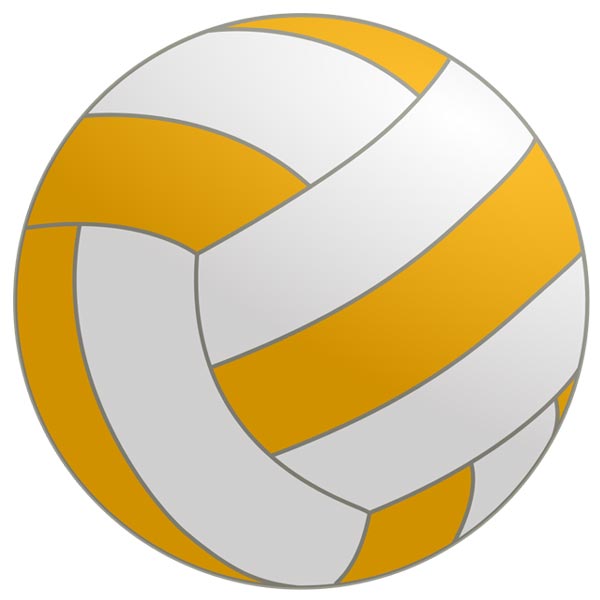 This image is a clip art icon of a netball.